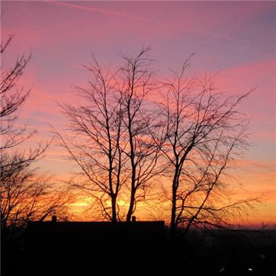 乐发彩票app下载